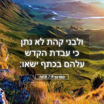 Picture 05 - במדבר 7:9 HEB - ולבני קהת לא נתן כי עבדת - Bible Verse Picture