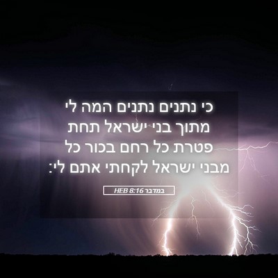 Picture 05 - במדבר 8:16 HEB - כי נתנים נתנים המה לי מתוך - Bible Verse Picture