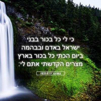 Picture 05 - במדבר 8:17 HEB - כי לי כל בכור בבני ישראל - Bible Verse Picture