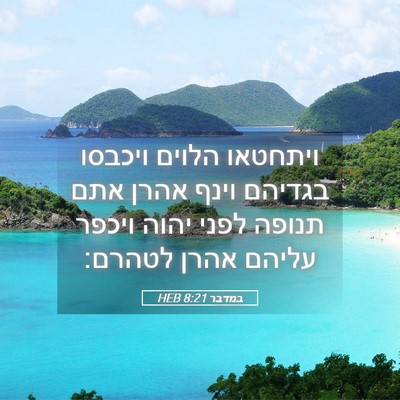 Picture 05 - במדבר 8:21 HEB - ויתחטאו הלוים ויכבסו - Bible Verse Picture