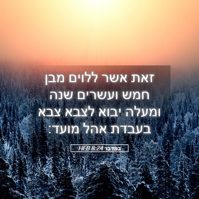 Picture 05 - במדבר 8:24 HEB - זאת אשר ללוים מבן חמש - Bible Verse Picture