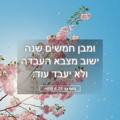 Picture 05 - במדבר 8:25 HEB - ומבן חמשים שנה ישוב מצבא - Bible Verse Picture