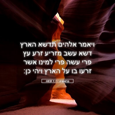 Picture 05 - בראשית 1:11 HEB - ויאמר אלהים תדשא הארץ דשא - Bible Verse Picture