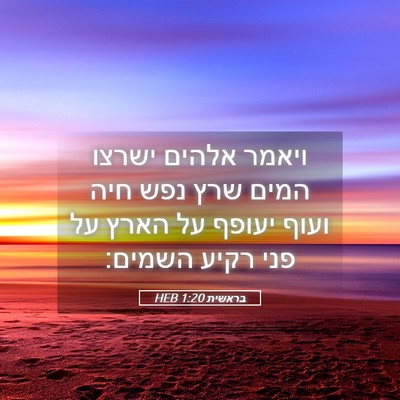 Picture 05 - בראשית 1:20 HEB - ויאמר אלהים ישרצו המים שרץ - Bible Verse Picture