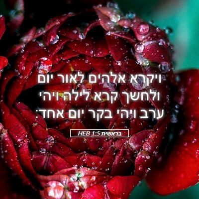 Picture 05 - בראשית 1:5 HEB - ויקרא אלהים לאור יום ולחשך - Bible Verse Picture