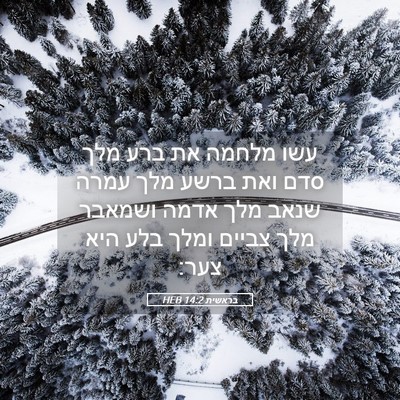 Picture 05 - בראשית 14:2 HEB - עשו מלחמה את ברע מלך סדם - Bible Verse Picture