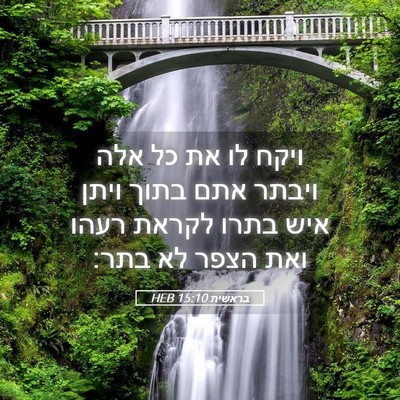 Picture 05 - בראשית 15:10 HEB - ויקח לו את כל אלה ויבתר אתם - Bible Verse Picture