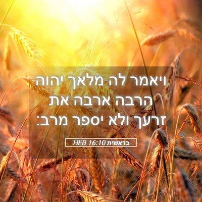 Picture 05 - בראשית 16:10 HEB - ויאמר לה מלאך יהוה הרבה - Bible Verse Picture