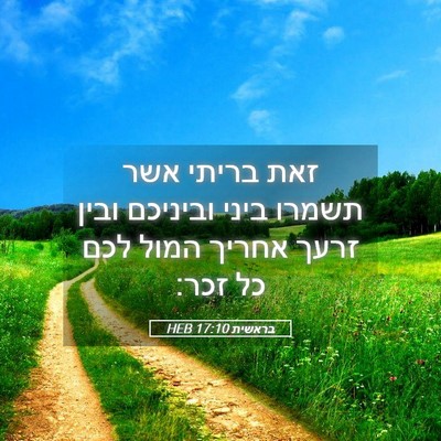 Picture 05 - בראשית 17:10 HEB - זאת בריתי אשר תשמרו ביני - Bible Verse Picture