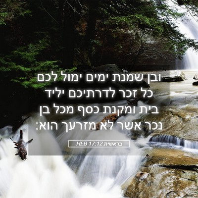 Picture 05 - בראשית 17:12 HEB - ובן שמנת ימים ימול לכם כל - Bible Verse Picture