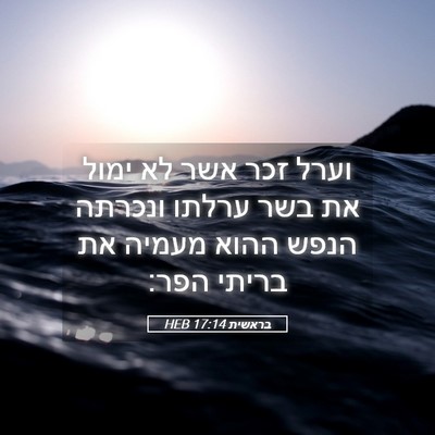 Picture 05 - בראשית 17:14 HEB - וערל זכר אשר לא ימול את בשר - Bible Verse Picture