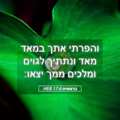 Picture 05 - בראשית 17:6 HEB - והפרתי אתך במאד מאד ונתתיך - Bible Verse Picture