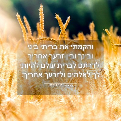 Picture 05 - בראשית 17:7 HEB - והקמתי את בריתי ביני ובינך - Bible Verse Picture