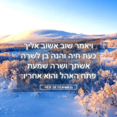 Picture 05 - בראשית 18:10 HEB - ויאמר שוב אשוב אליך כעת חיה - Bible Verse Picture
