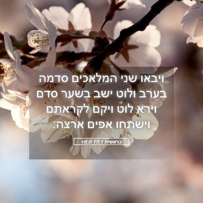 Picture 05 - בראשית 19:1 HEB - ויבאו שני המלאכים סדמה - Bible Verse Picture