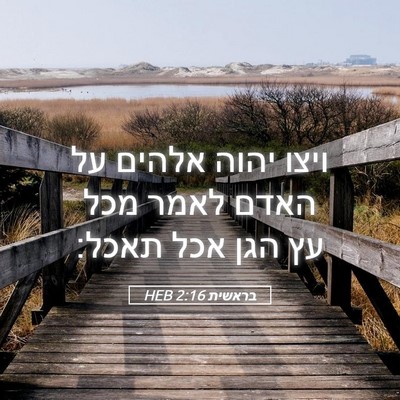 Picture 05 - בראשית 2:16 HEB - ויצו יהוה אלהים על האדם - Bible Verse Picture