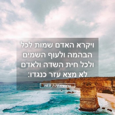 Picture 05 - בראשית 2:20 HEB - ויקרא האדם שמות לכל הבהמה - Bible Verse Picture