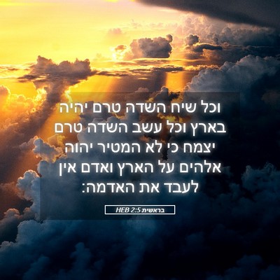 Picture 05 - בראשית 2:5 HEB - וכל שיח השדה טרם יהיה בארץ - Bible Verse Picture