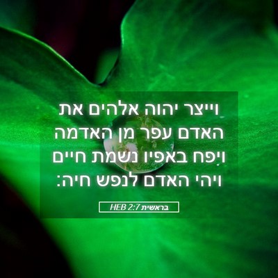 Picture 05 - בראשית 2:7 HEB - וייצר יהוה אלהים את האדם - Bible Verse Picture