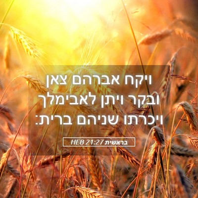 Picture 05 - בראשית 21:27 HEB - ויקח אברהם צאן ובקר ויתן - Bible Verse Picture