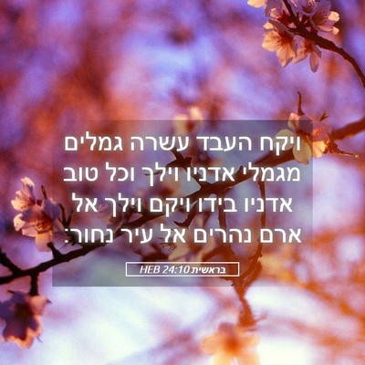 Picture 05 - בראשית 24:10 HEB - ויקח העבד עשרה גמלים מגמלי - Bible Verse Picture