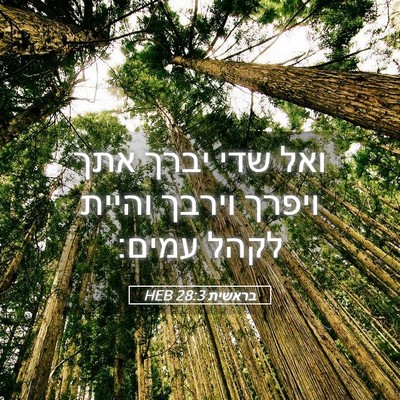 Picture 05 - בראשית 28:3 HEB - ואל שדי יברך אתך ויפרך - Bible Verse Picture