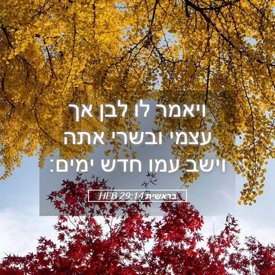 Picture 05 - בראשית 29:14 HEB - ויאמר לו לבן אך עצמי ובשרי - Bible Verse Picture