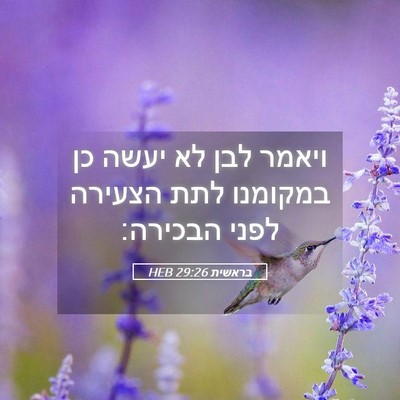 Picture 05 - בראשית 29:26 HEB - ויאמר לבן לא יעשה כן - Bible Verse Picture