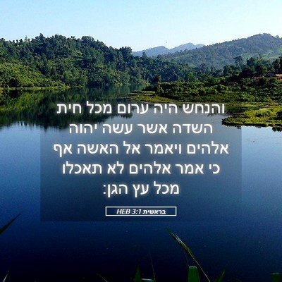 Picture 05 - בראשית 3:1 HEB - והנחש היה ערום מכל חית השדה - Bible Verse Picture