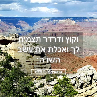 Picture 05 - בראשית 3:18 HEB - וקוץ ודרדר תצמיח לך ואכלת - Bible Verse Picture