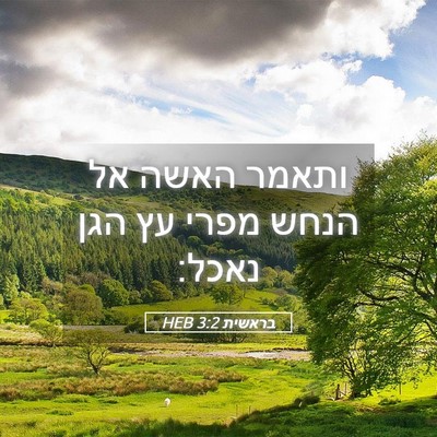 Picture 05 - בראשית 3:2 HEB - ותאמר האשה אל הנחש מפרי עץ - Bible Verse Picture