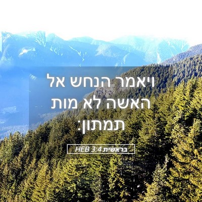 Picture 05 - בראשית 3:4 HEB - ויאמר הנחש אל האשה לא מות - Bible Verse Picture