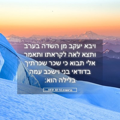 Picture 05 - בראשית 30:16 HEB - ויבא יעקב מן השדה בערב ותצא - Bible Verse Picture