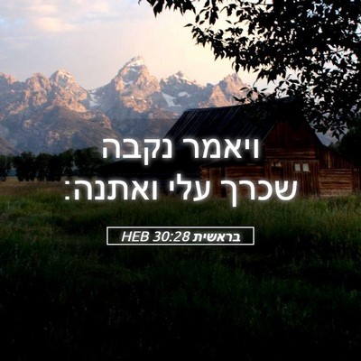 Picture 05 - בראשית 30:28 HEB - ויאמר נקבה שכרך עלי - Bible Verse Picture