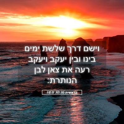Picture 05 - בראשית 30:36 HEB - וישם דרך שלשת ימים בינו - Bible Verse Picture