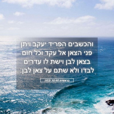 Picture 05 - בראשית 30:40 HEB - והכשבים הפריד יעקב ויתן - Bible Verse Picture