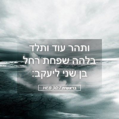 Picture 05 - בראשית 30:7 HEB - ותהר עוד ותלד בלהה שפחת רחל - Bible Verse Picture