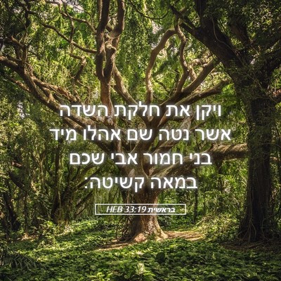 Picture 05 - בראשית 33:19 HEB - ויקן את חלקת השדה אשר נטה - Bible Verse Picture