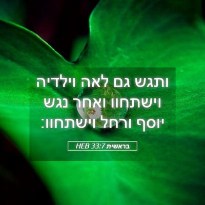 Picture 05 - בראשית 33:7 HEB - ותגש גם לאה וילדיה וישתחוו - Bible Verse Picture