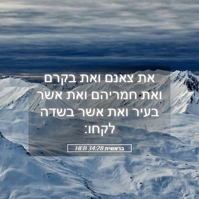 Picture 05 - בראשית 34:28 HEB - את צאנם ואת בקרם ואת חמריהם - Bible Verse Picture