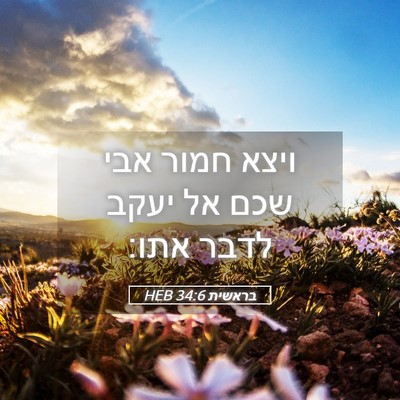 Picture 05 - בראשית 34:6 HEB - ויצא חמור אבי שכם אל יעקב - Bible Verse Picture