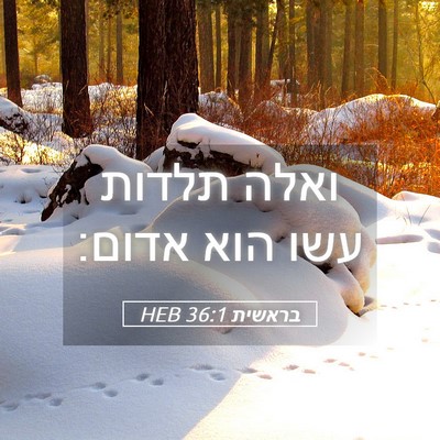 Picture 05 - בראשית 36:1 HEB - ואלה תלדות עשו הוא - Bible Verse Picture