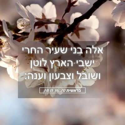 Picture 05 - בראשית 36:20 HEB - אלה בני שעיר החרי ישבי הארץ - Bible Verse Picture