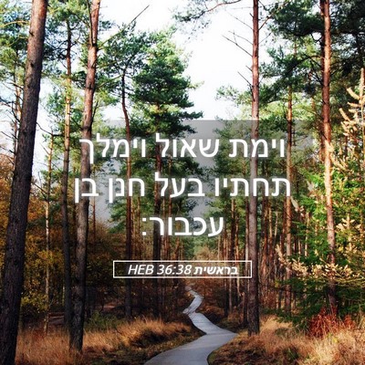 Picture 05 - בראשית 36:38 HEB - וימת שאול וימלך תחתיו בעל - Bible Verse Picture