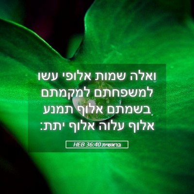 Picture 05 - בראשית 36:40 HEB - ואלה שמות אלופי עשו - Bible Verse Picture