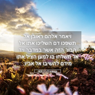 Picture 05 - בראשית 37:22 HEB - ויאמר אלהם ראובן אל תשפכו - Bible Verse Picture