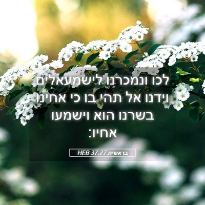 Picture 05 - בראשית 37:27 HEB - לכו ונמכרנו לישמעאלים - Bible Verse Picture