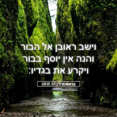 Picture 05 - בראשית 37:29 HEB - וישב ראובן אל הבור והנה אין - Bible Verse Picture