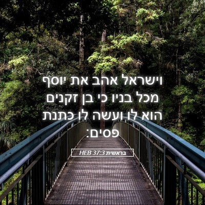Picture 05 - בראשית 37:3 HEB - וישראל אהב את יוסף מכל בניו - Bible Verse Picture