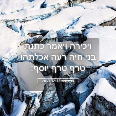 Picture 05 - בראשית 37:33 HEB - ויכירה ויאמר כתנת בני חיה - Bible Verse Picture